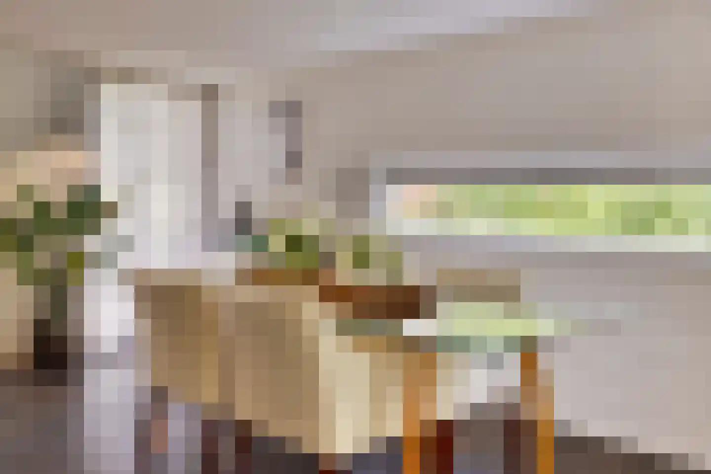 Diepenbrocklaan 4 Ede thumbnail 10