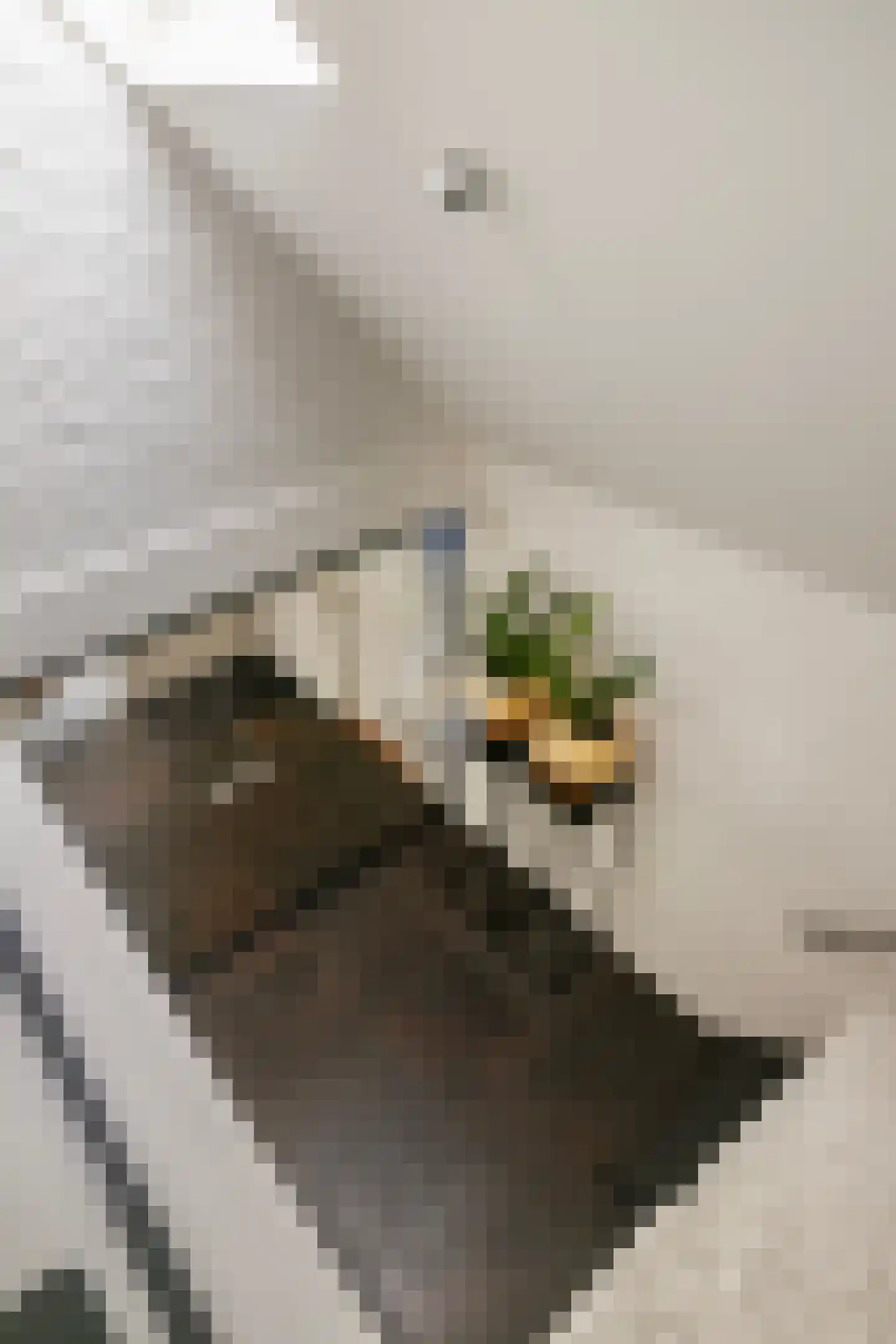 Diepenbrocklaan 4 Ede thumbnail 25