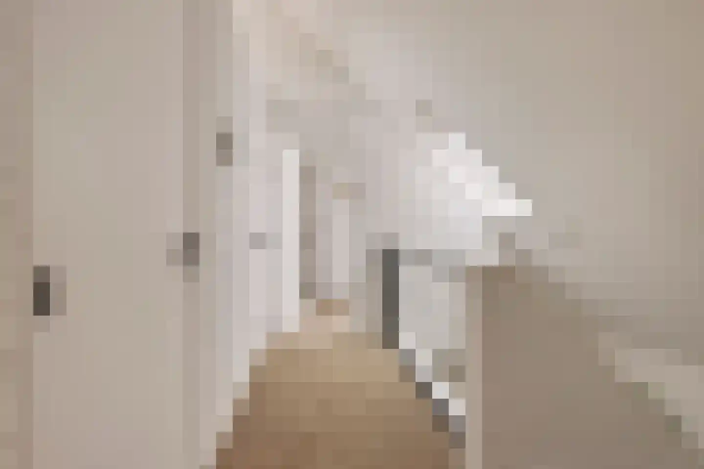 Diepenbrocklaan 4 Ede thumbnail 26