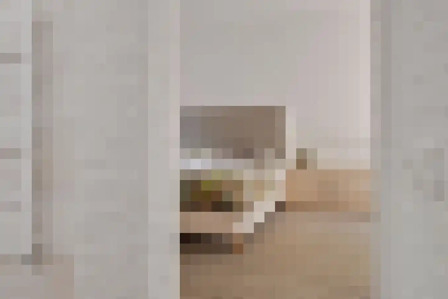 Diepenbrocklaan 4 Ede thumbnail 27