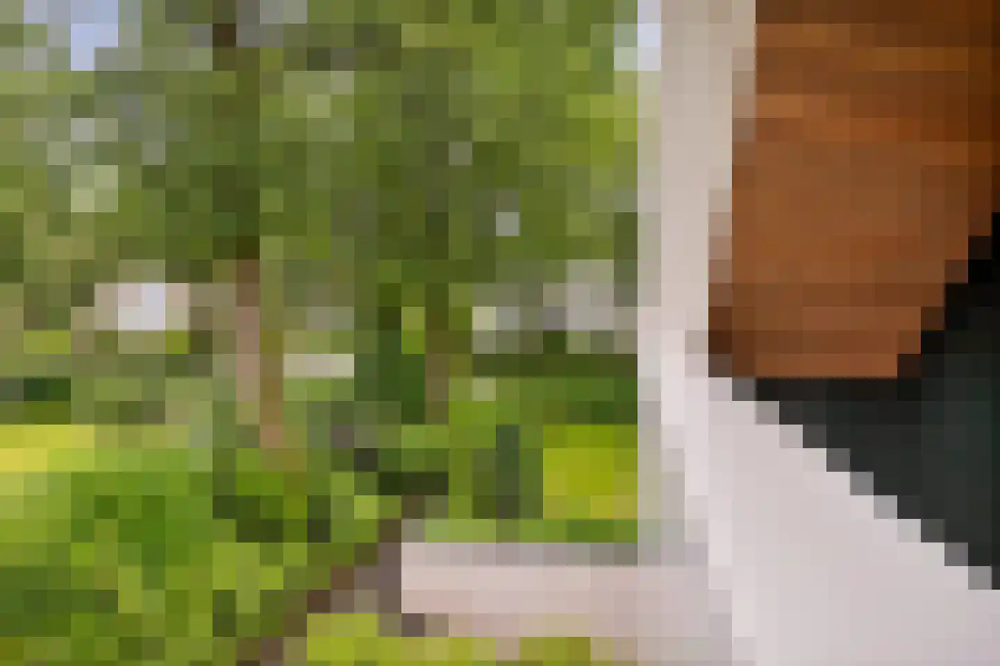 Diepenbrocklaan 4 Ede thumbnail 31