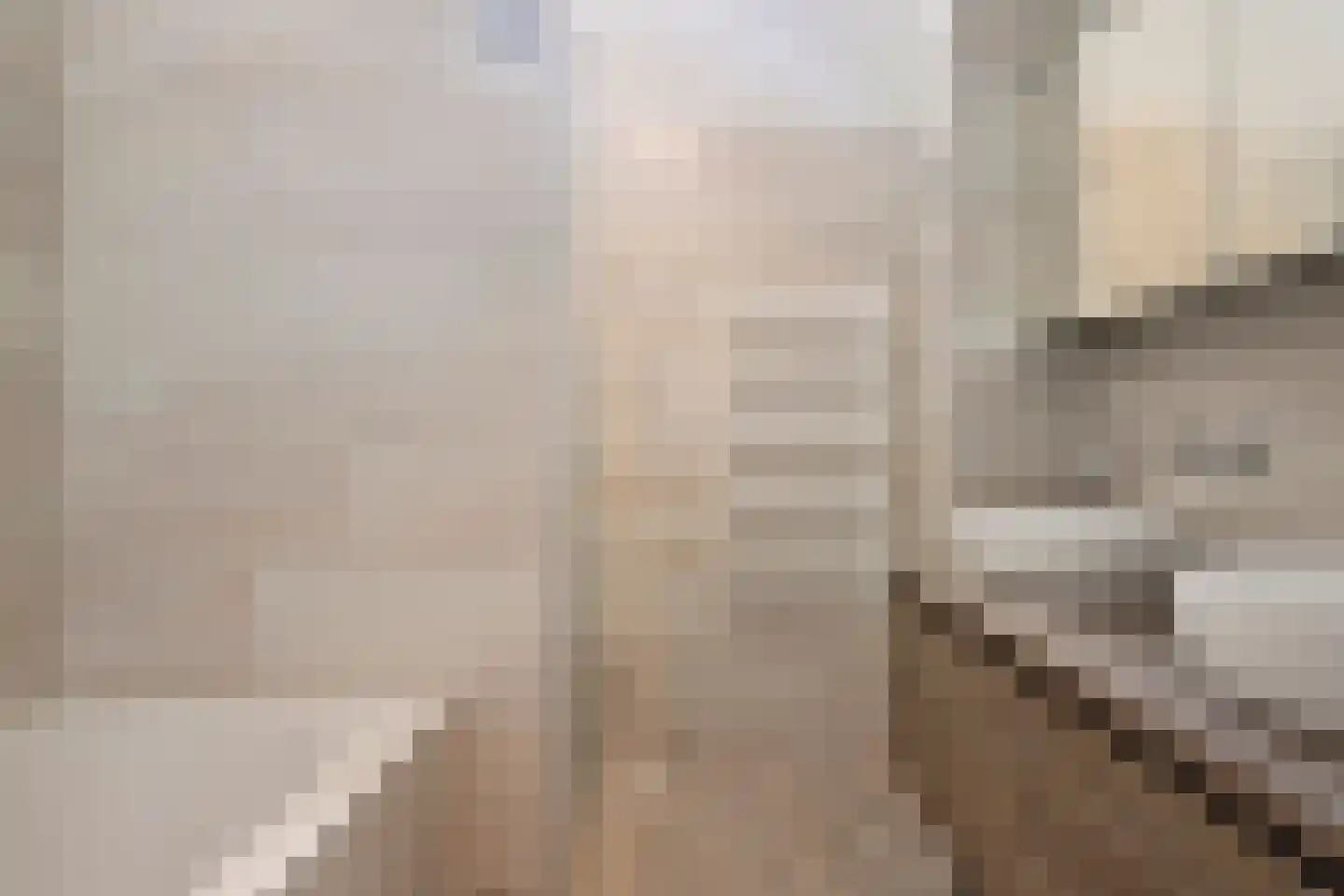 Diepenbrocklaan 4 Ede thumbnail 32