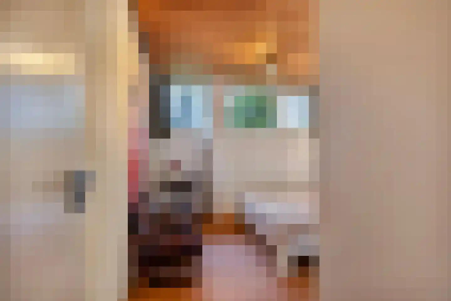Diepenbrocklaan 4 Ede thumbnail 39