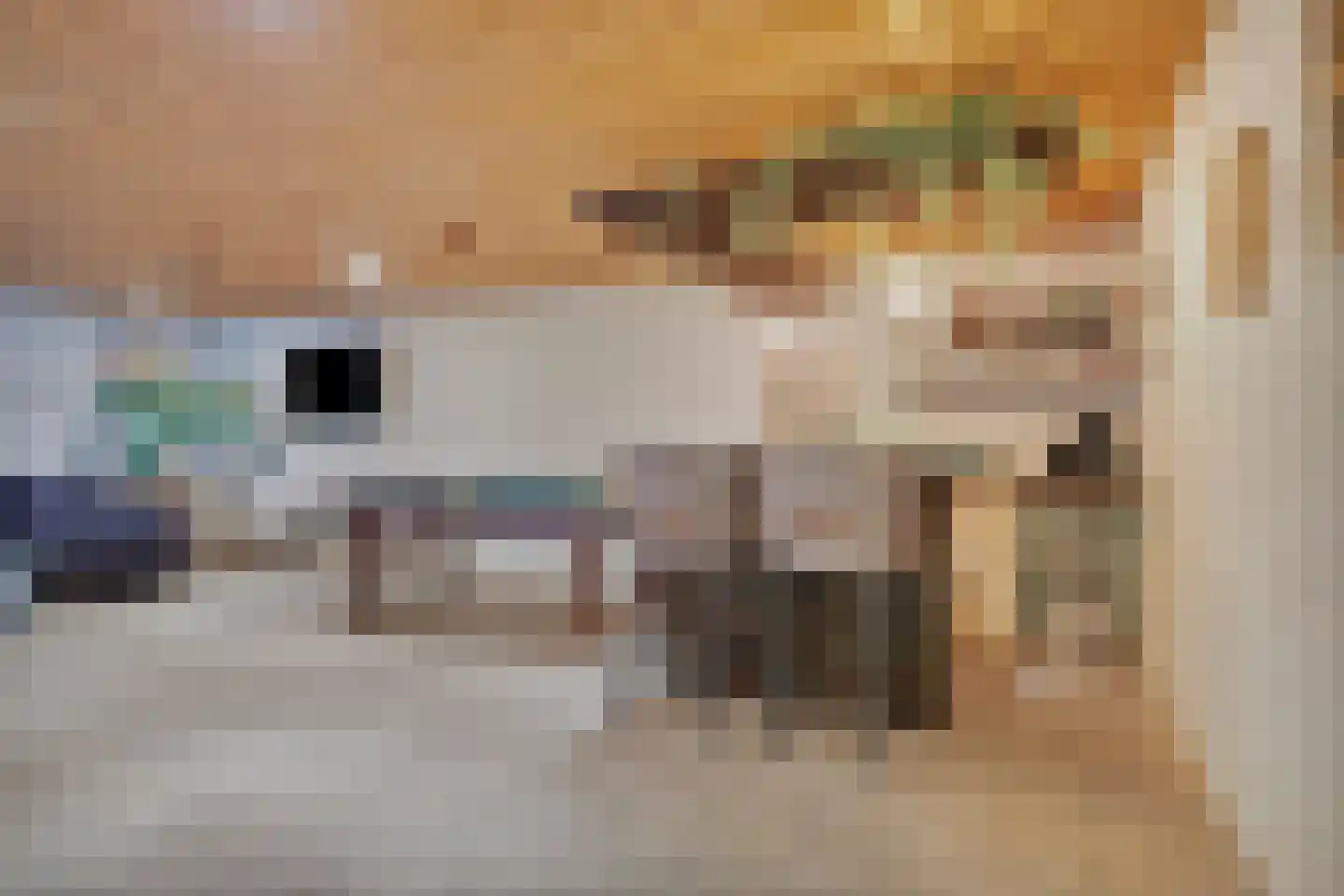 Diepenbrocklaan 4 Ede thumbnail 44