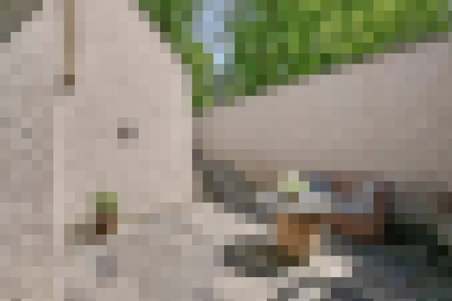 Diepenbrocklaan 4 Ede thumbnail 47
