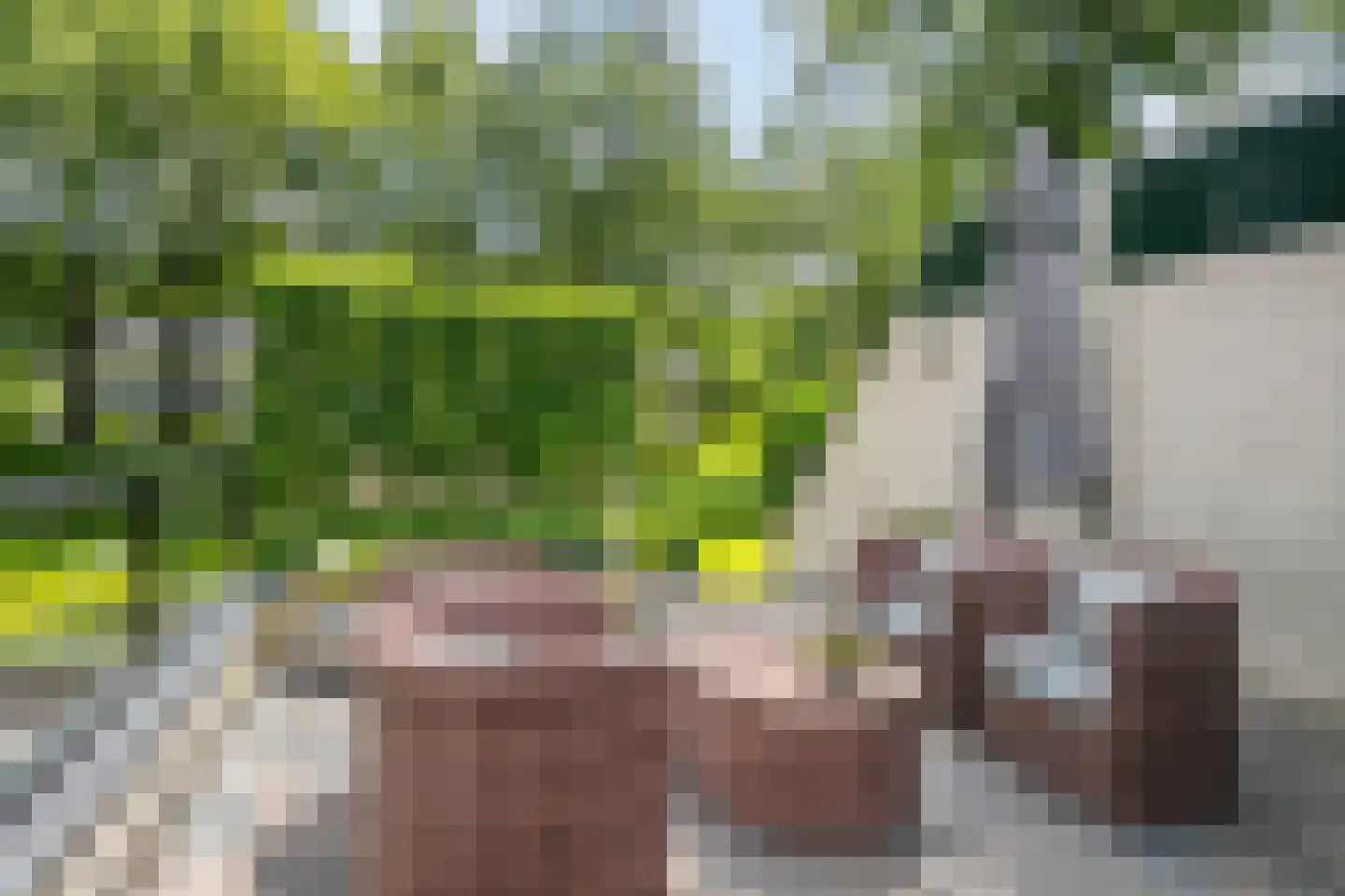 Diepenbrocklaan 4 Ede thumbnail 48