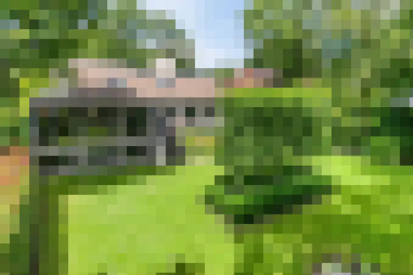 Diepenbrocklaan 4 Ede thumbnail 53