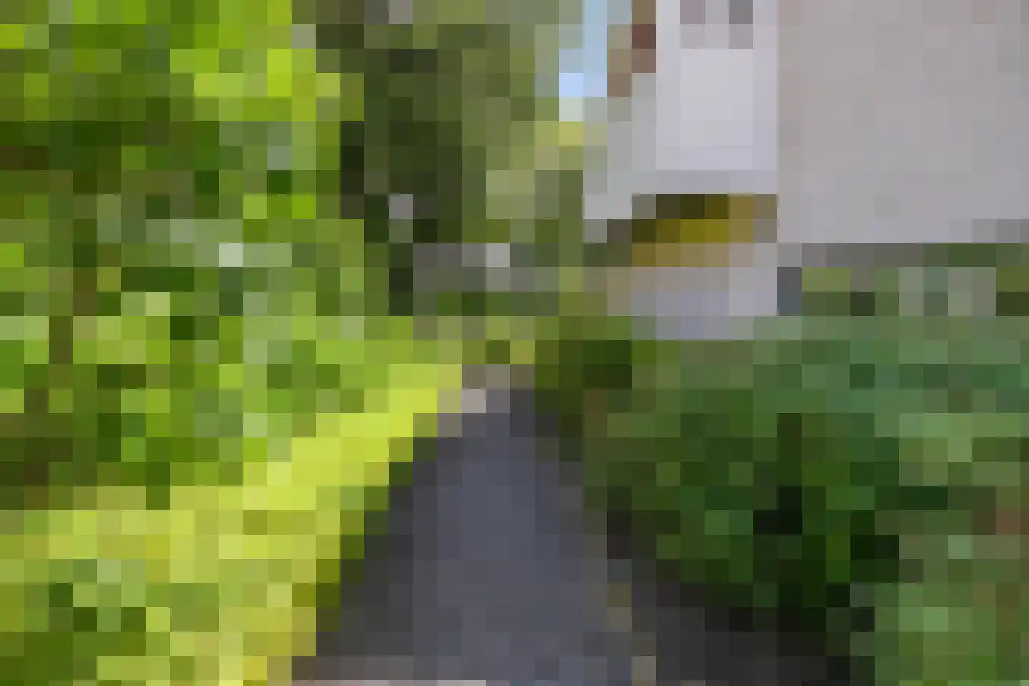 Diepenbrocklaan 4 Ede thumbnail 54