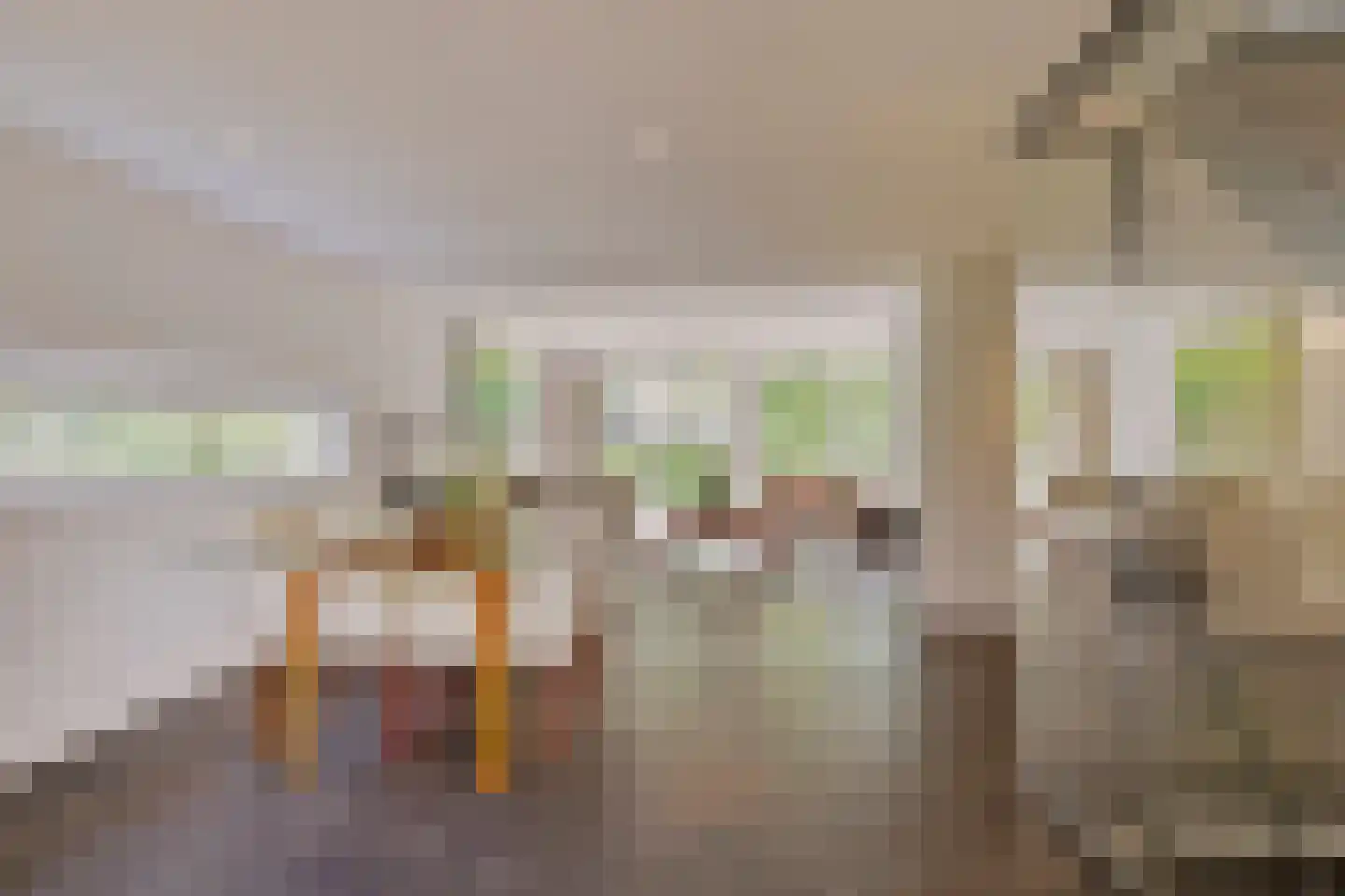 Diepenbrocklaan 4 Ede thumbnail 9