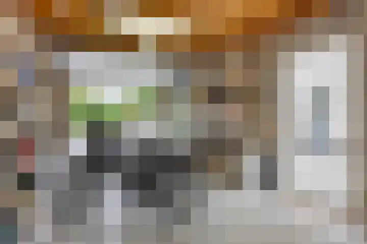 Diepenbrockstraat 6 Dirksland thumbnail 43
