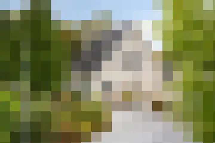Diepenbrockstraat 6 Dirksland thumbnail 6