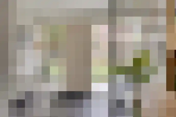Diepenbrockstraat 6 Dirksland thumbnail 7