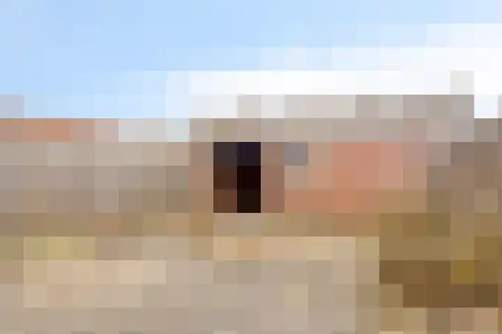 Diepenbroekstraat 49 Wehl thumbnail 23