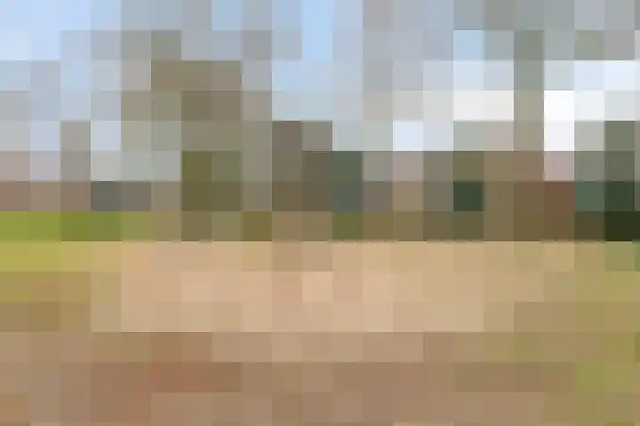 Diepenbroekstraat 49 Wehl thumbnail 25