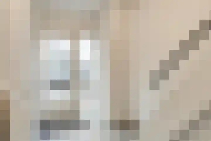Diepenbroekstraat 49 Wehl thumbnail 4