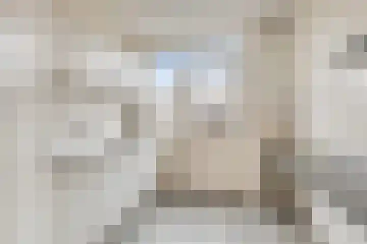 Diepenbroekstraat 49 Wehl thumbnail 7