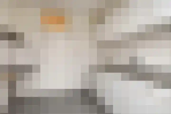 Diepenbroekstraat 49 Wehl thumbnail 8