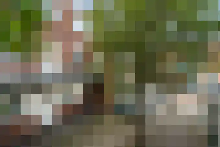 Diepenbroickpark 80 Weesp thumbnail 20
