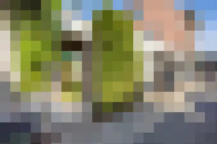 Diepenbroickpark 80 Weesp thumbnail 36