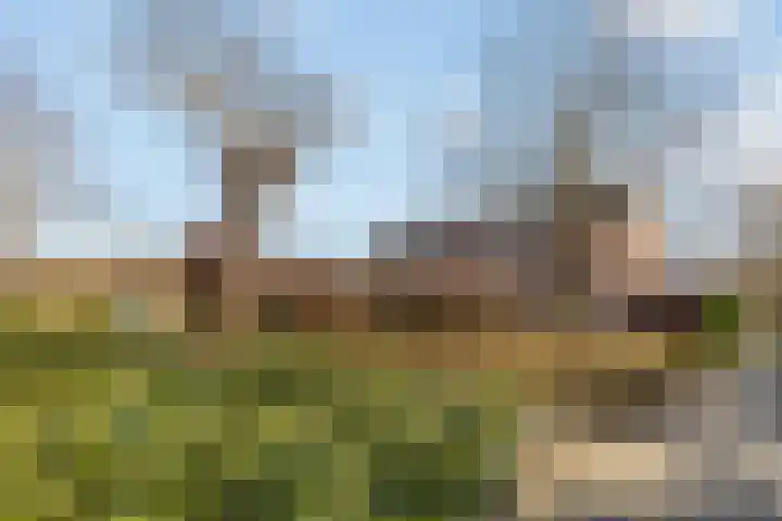 Diepenbroickpark 80 Weesp thumbnail 36