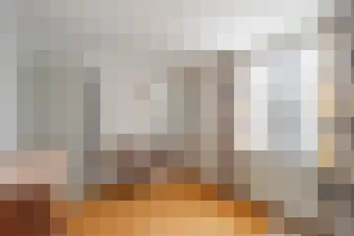 Diependaalstraat 70 Stein thumbnail 12