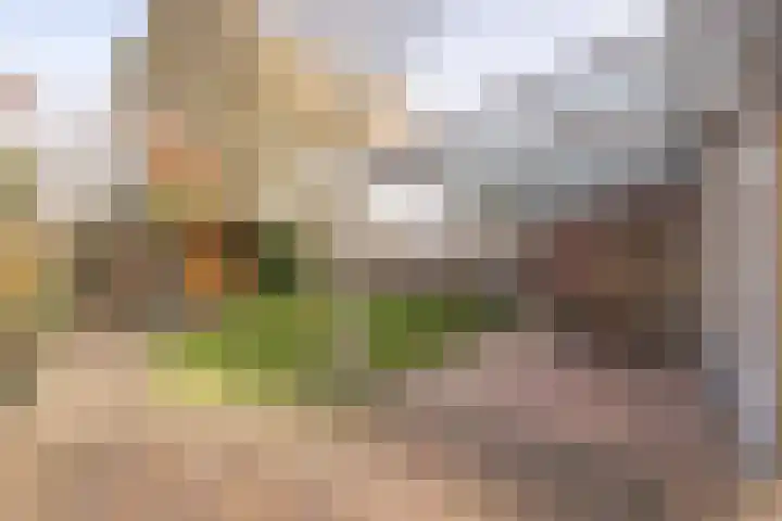 Diependaalstraat 70 Stein thumbnail 18