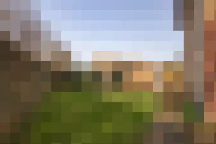 Diependaalstraat 70 Stein thumbnail 20