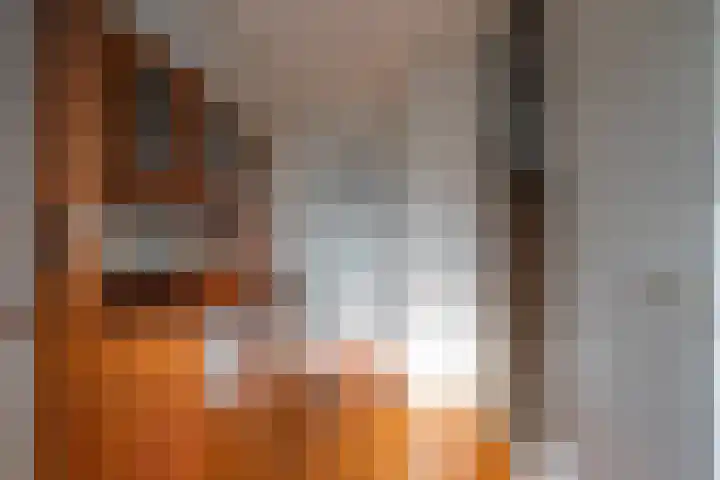 Diependaalstraat 70 Stein thumbnail 5