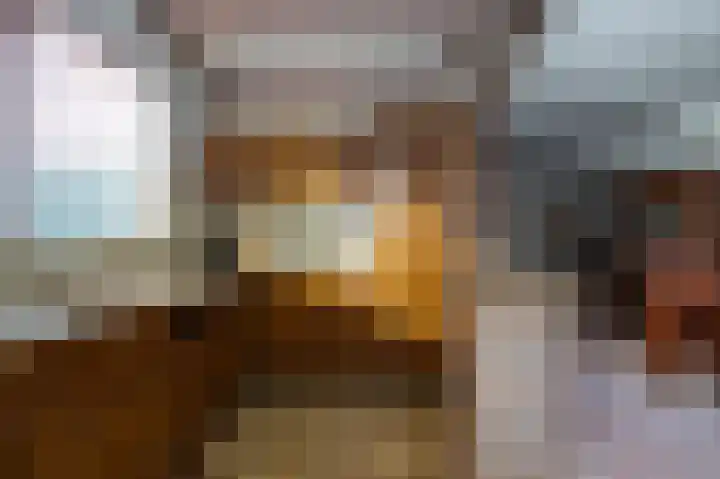 Diependorst 111 Ouddorp thumbnail 12