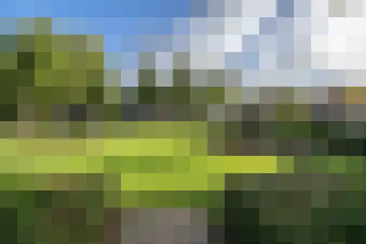 Diependorst 111 Ouddorp thumbnail 30