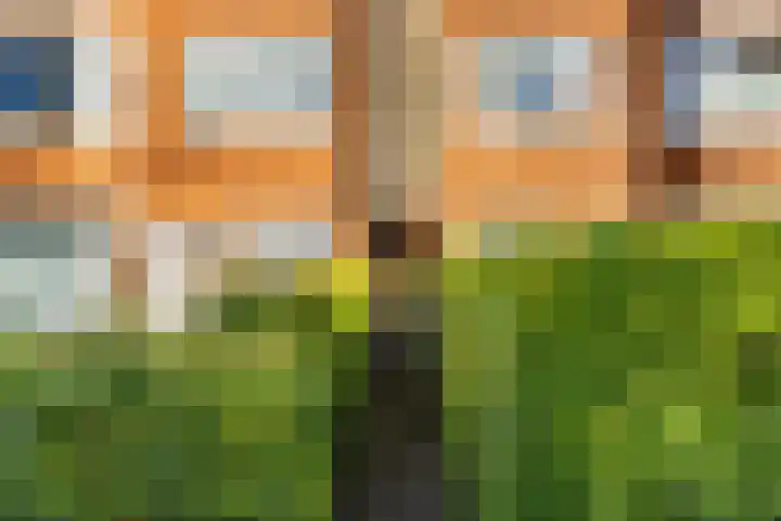 Diephuisstraat 19 b Groningen thumbnail 32