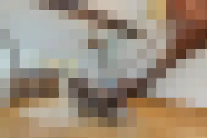 Diepstraat 15 A Echt thumbnail 12