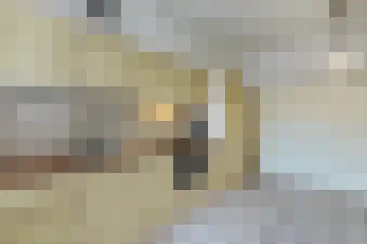 Diepstraat 15 A Echt thumbnail 16