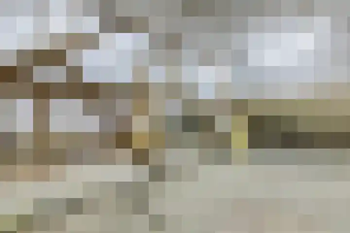 Diepstraat 15 A Echt thumbnail 34