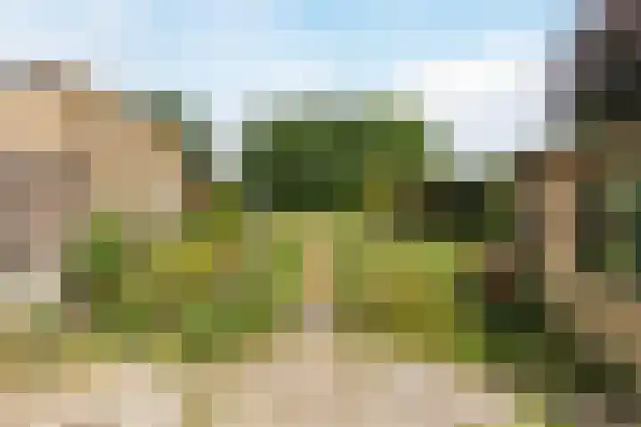 Diepstraat 15 A Echt thumbnail 38