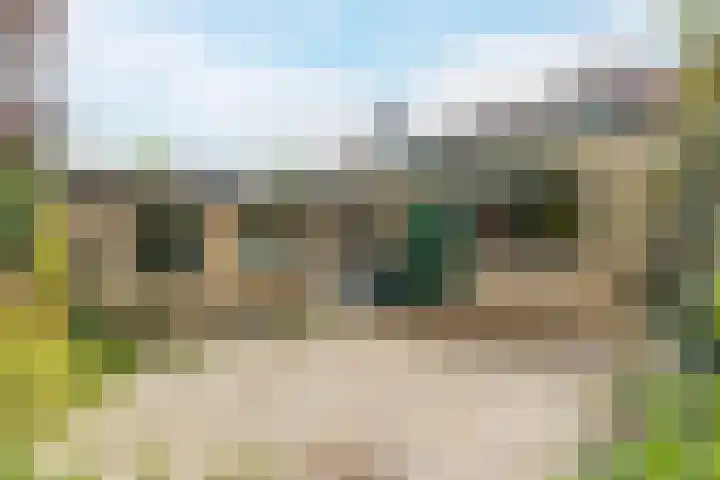 Diepstraat 15 A Echt thumbnail 39