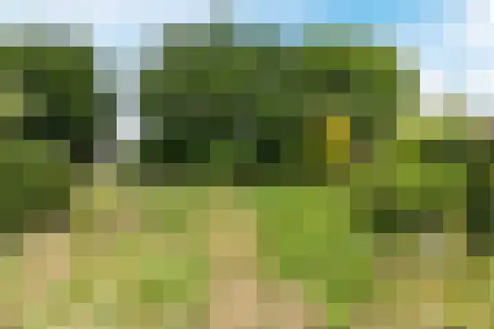 Diepstraat 15 A Echt thumbnail 43