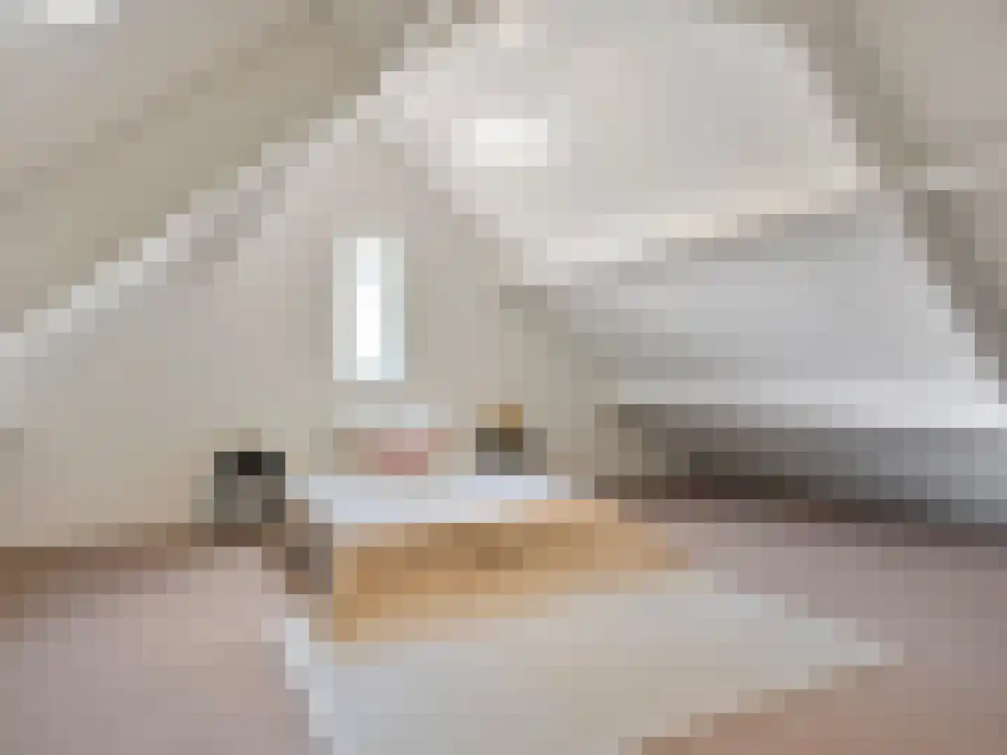 Diepstraat 2 c Wernhout thumbnail 28