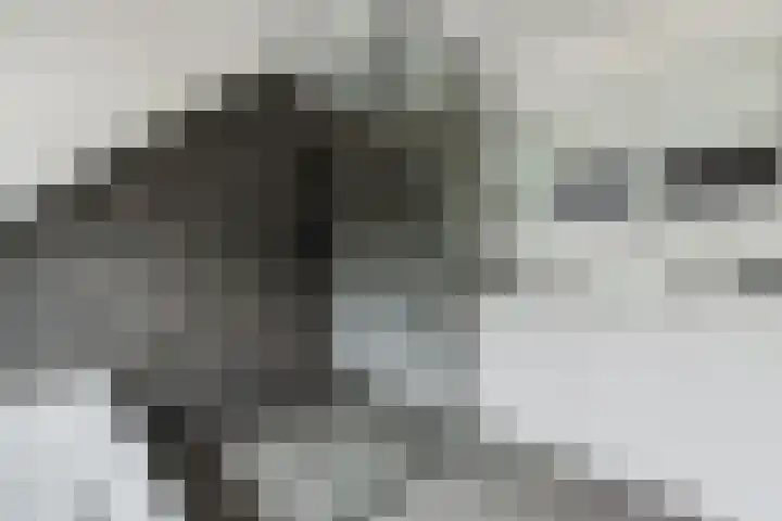 Diepstraat 30 Wernhout thumbnail 32