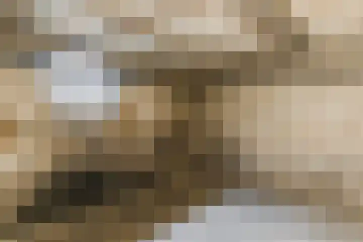Diepstraat 5 Echt thumbnail 21