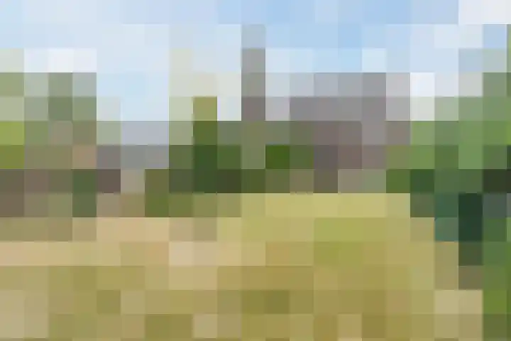 Diepstraat 5 Echt thumbnail 39