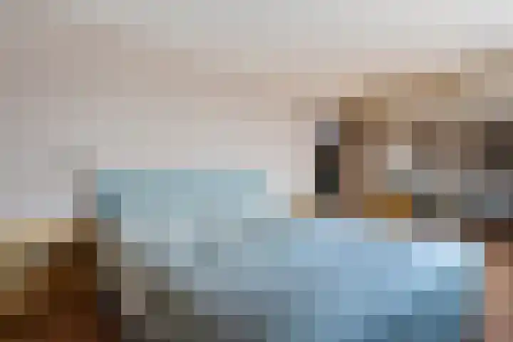 Dieptol 46 Steenwijk thumbnail 16