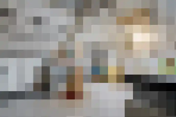 Dieptol 46 Steenwijk thumbnail 25