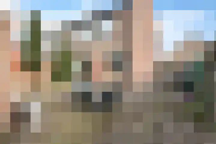 Dieptol 46 Steenwijk thumbnail 26
