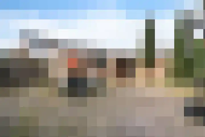 Dieptol 46 Steenwijk thumbnail 27