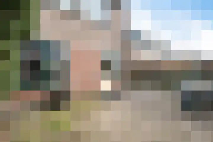 Dieptol 46 Steenwijk thumbnail 29