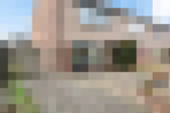 Dieptol 46 Steenwijk thumbnail 30