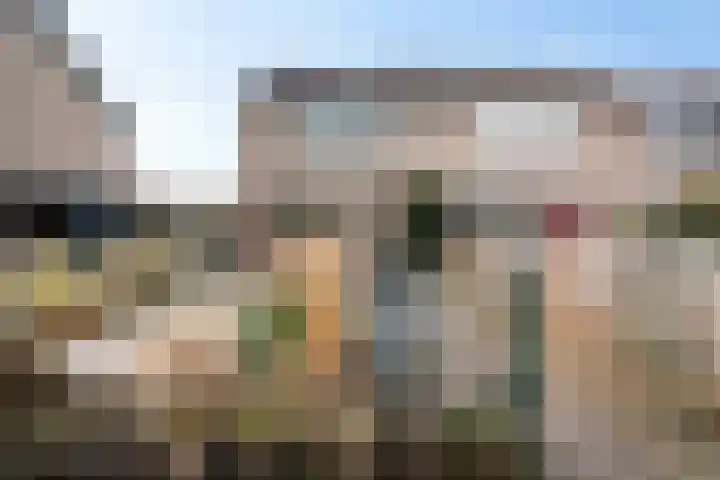 Dieptol 46 Steenwijk thumbnail 31