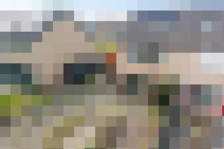 Dieptol 46 Steenwijk thumbnail 33