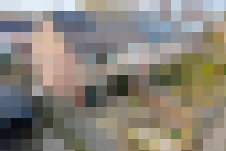 Dieptol 46 Steenwijk thumbnail 34